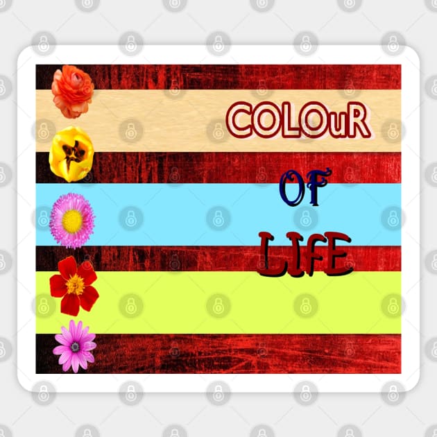 Colour of life Sticker by Vauz-Shop
